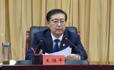 王勝平，被查