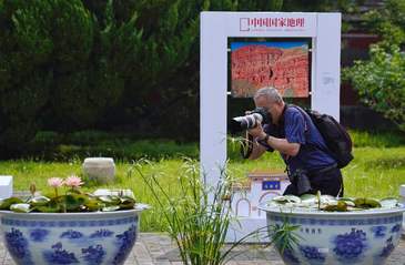 北海公園首屆碗蓮展：40余個(gè)珍稀品種集結(jié)