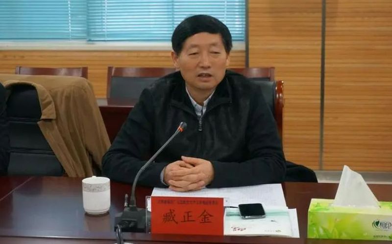 臧正金，被查 — 新京報