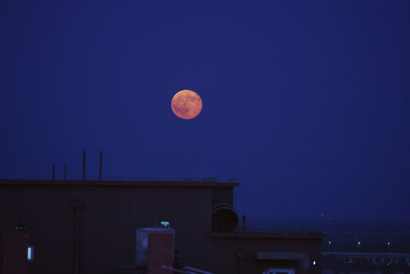 霞月同辉映京城