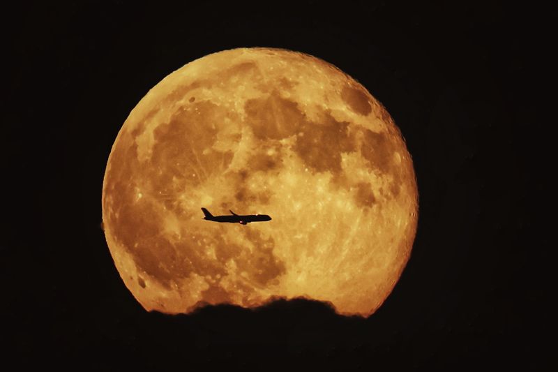 霞月同辉映京城