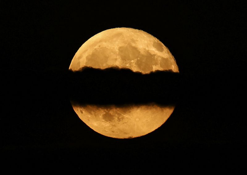 霞月同辉映京城