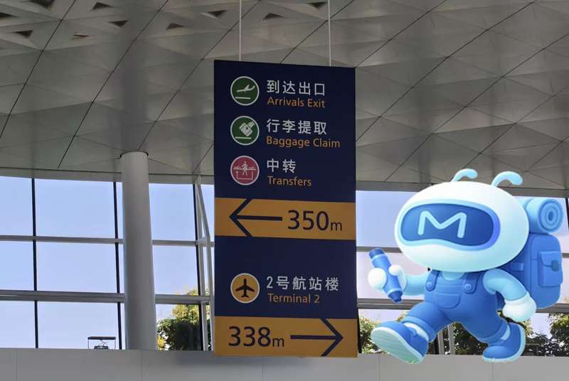 懒患上刷攻略，AI上位年迈人“遨游同伙” — 新京报