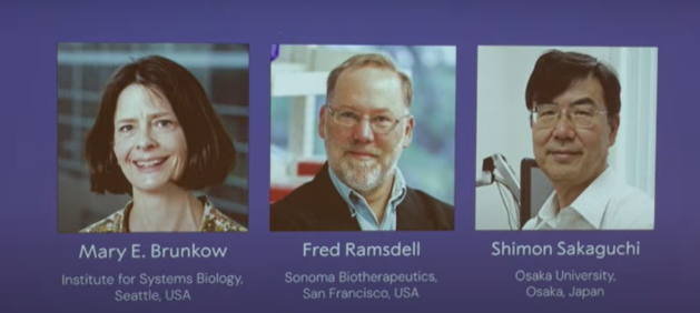 2025年诺贝尔心理学或者医学奖揭晓 — 新京报