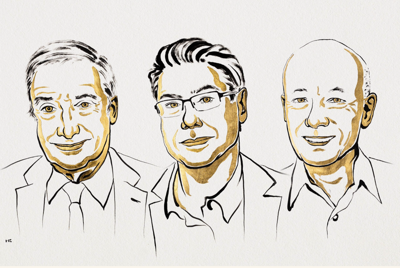 经济圈“熟脸”！都在钻研立异，为甚么这三人摘患上诺奖？ — 新京报