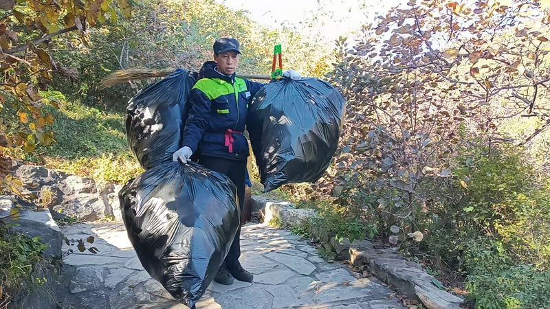 香山红叶背后的守护者：日均清运2吨垃圾，全凭人工背运 — 新京报