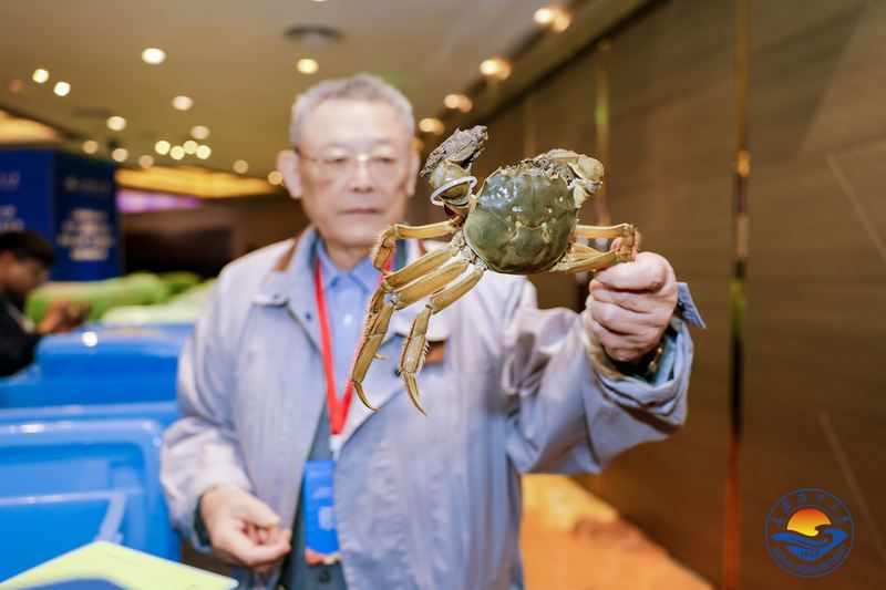 4000只河蟹角逐“奥斯卡奖”，“蟹王”重1斤2两 — 新京报