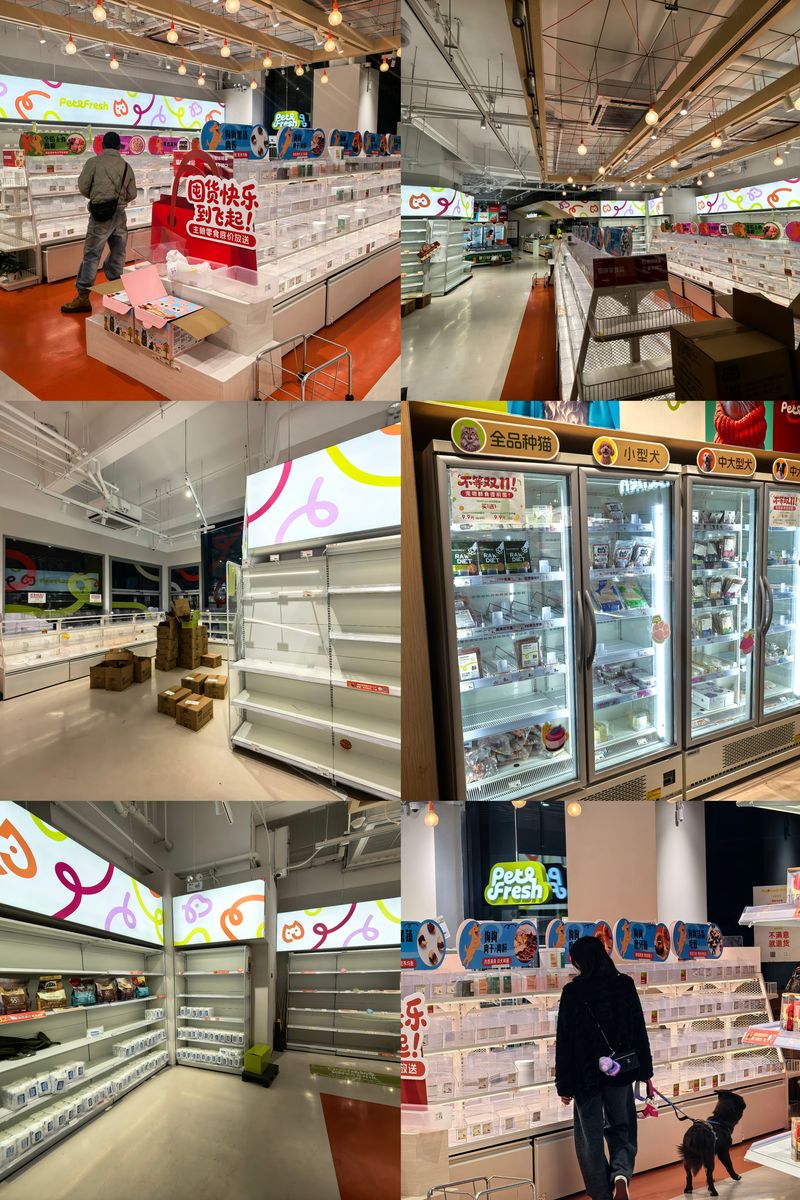 二次守业“迅速”的价钱：侯毅的派特鲜生10个月“闪退” — 新京报