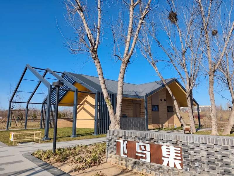 北京首个“飞鸟集”观鸟主题公园明天正式开放 — 新京报