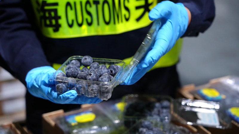 “中秘”海运航线收支口货值破50亿元，物流老本直降20% — 新京报