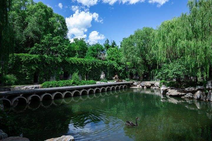 云南昆明1至4月党政纪处分176人，其中县处级干部9人