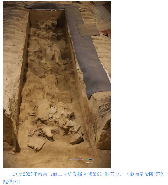 秦兵马俑考古新发现：二号坑发掘出土两乘战车 — 新京报