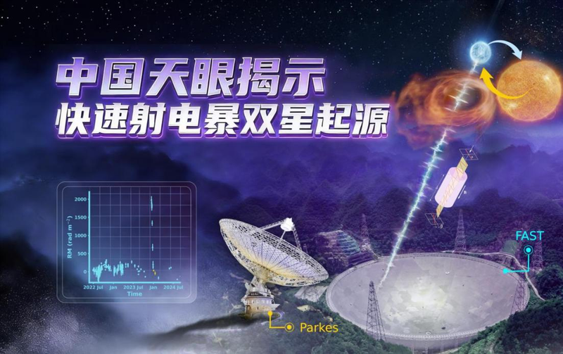 中国天眼新成果发布 揭示快速射电暴双星起源关键证据 — 新京报