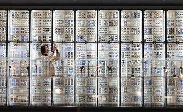 北京市自然昆虫博物馆亮相南中轴