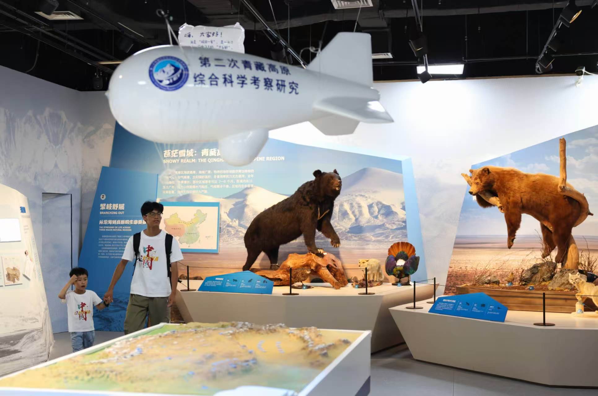 邂逅《生命树》与青藏高原，国家自然博物馆新展开幕