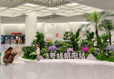 北京地铁朝阳站、复兴门站、朝阳门站，站内也能赏花