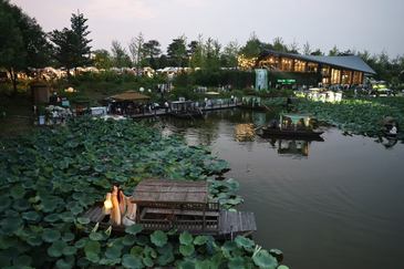 荷塘赏艺，打卡温榆河浪漫夜游