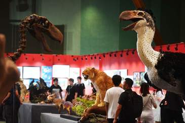 首届中国古生物复原大赛启幕，百余件古生物作品亮相北京世园